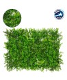 GLOBOSTAR® BUXUS 78412 Τεχνητό Πάνελ Φυλλωσιάς - Κάθετος Κήπος Καυκάσιο Πυξάρι, Φτέρη & Tokyo Sun - Πράσινο - Μ60 x Υ9 x Π40cm - Πράσινο - Μ60 x Υ9 x Π40cm