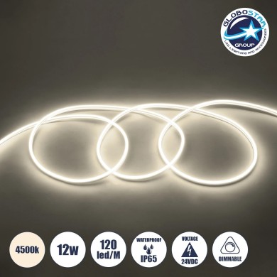 GLOBOSTAR® NEOVALE 70561 Ταινία Neon Flex LED 12W-m 960lm-m 120° DC 24V Αδιάβροχο IP65 120 x SMD2835 Chip-m Φυσικό Λευκό 4500K Dimmable - Sanan SMD Chip - Μ100 x Π0.8 x Υ1.6cm - 3 Χρόνια Εγγύηση