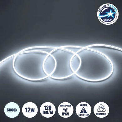 GLOBOSTAR® NEOVALE 70570 Ταινία Neon Flex LED 12W-m 1080lm-m 120° DC 220-240V Αδιάβροχο IP65 120 x SMD2835 Chip-m Ψυχρό Λευκό 6000K Dimmable - Sanan SMD Chip - Μ100 x Π0.8 x Υ1.6cm - 3 Χρόνια Εγγύηση