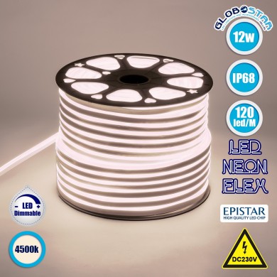 GLOBOSTAR® OVALE 70571 Ταινία Neon Flex LED 12W-m 960lm-m 120° DC 220-240V Αδιάβροχο IP65 120 x SMD2835 Chip-m Φυσικό Λευκό 4500K Dimmable - Sanan SMD Chip - Μ100 x Π0.8 x Υ1.6cm - 3 Χρόνια Εγγύηση