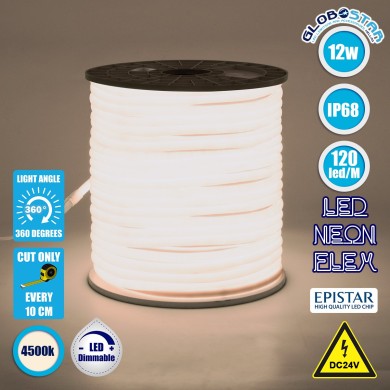 GLOBOSTAR® NEOTUBE 70581 Ταινία Neon Flex LED 12W-m 960lm-m 360° DC 24V Αδιάβροχο IP65 120 x SMD2835 Chip-m Φυσικό Λευκό 4500K Dimmable - Sanan SMD Chip - Μ100 x Π1.3 x Υ1.3cm - 3 Χρόνια Εγγύηση