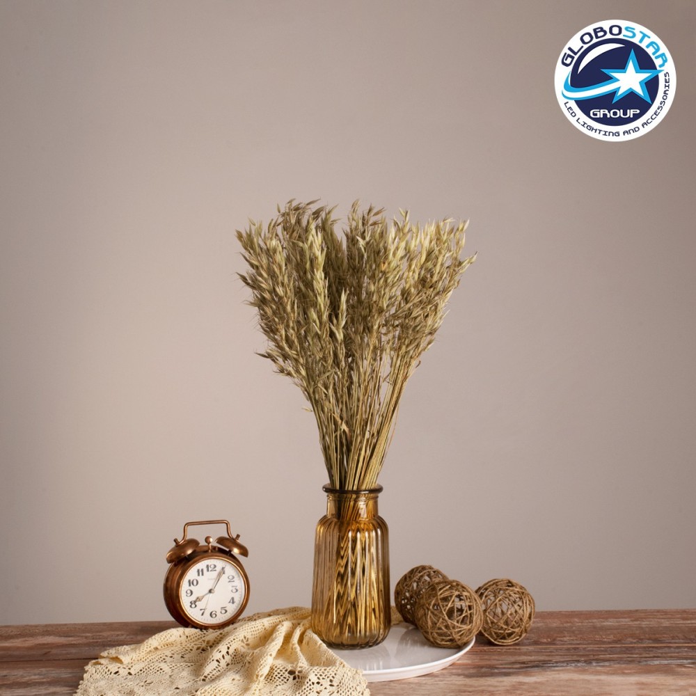 GloboStar® WILDOAT 36501 Αποξηραμένο Φυτό Αγριοβρώμη - Μπουκέτο Διακοσμητικών Κλαδιών Μπεζ - Πράσινο Υ60cm - Σετ 100 τμχ