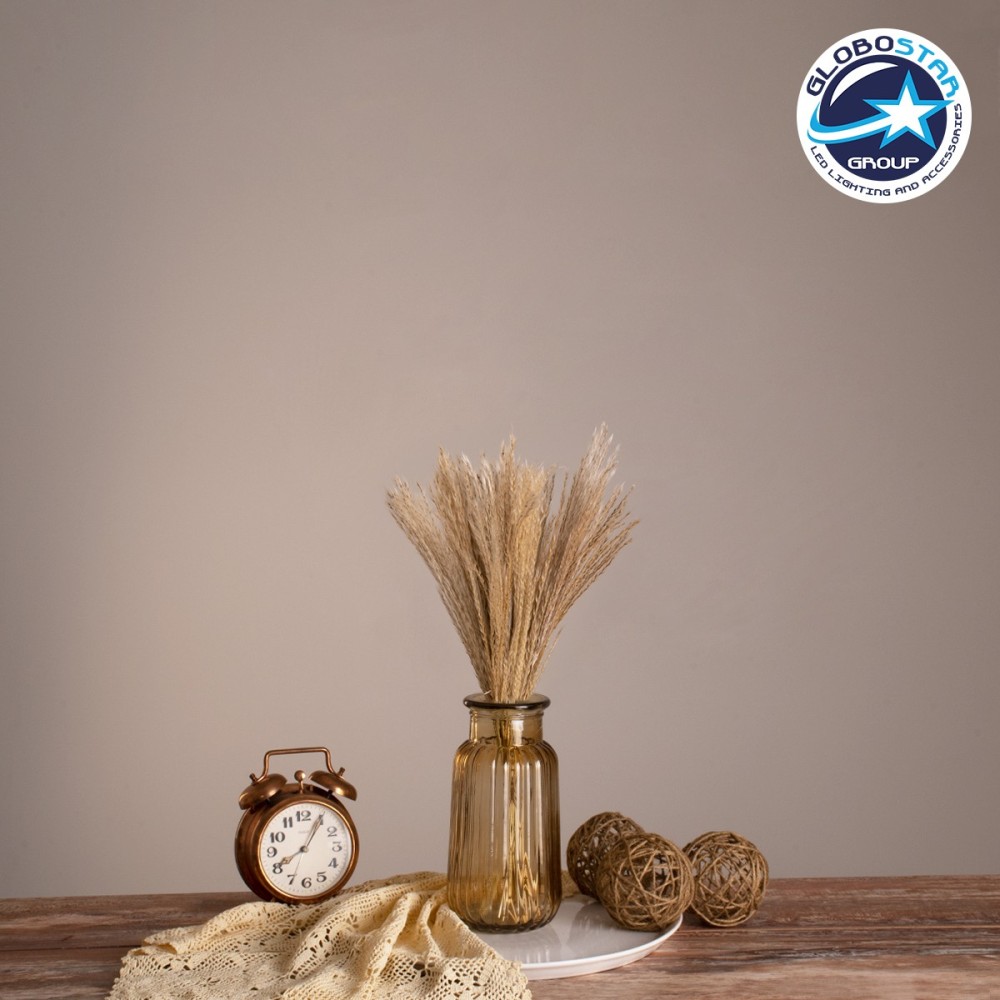 GLOBOSTAR® MISCANTHUS 36534 Αποξηραμένο Διακοσμητικό Μπουκέτο Μίσχανθος - Μπεζ - Μ20 x Π20 x Υ40cm - Πακέτο 20 Τεμαχίων