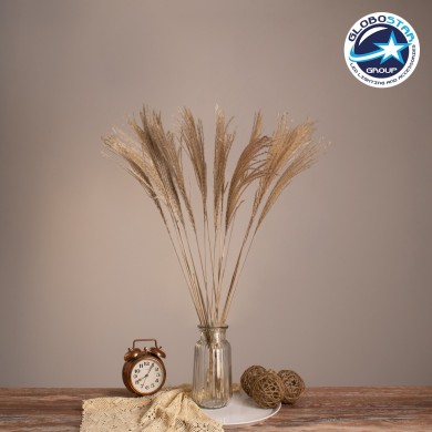 GLOBOSTAR® MISCANTHUS 36536 Αποξηραμένο Διακοσμητικό Μπουκέτο Μίσχανθος - Μπεζ - Μ20 x Π20 x Υ80cm - Πακέτο 20 Τεμαχίων