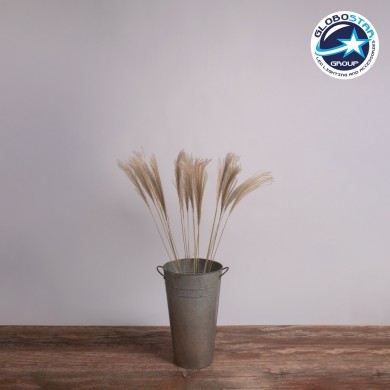 GLOBOSTAR® MISCANTHUS 36537 Αποξηραμένο Διακοσμητικό Μπουκέτο Μίσχανθος - Μπεζ - Μ20 x Π20 x Υ100cm - Πακέτο 20 Τεμαχίων