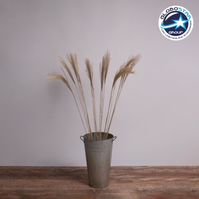 GloboStar® MISCANTHUS 36538 Αποξηραμένο Φυτό Μίσχανθος - Μπουκέτο Διακοσμητικών Κλαδιών Μπεζ Υ120cm - Σετ 10 τμχ