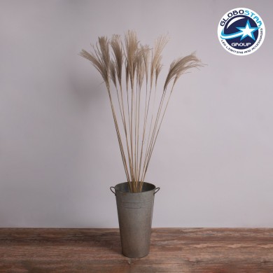 GloboStar® MISCANTHUS 36539 Αποξηραμένο Φυτό Μίσχανθος - Μπουκέτο Διακοσμητικών Κλαδιών Μπεζ Υ140cm - Σετ 10 τμχ