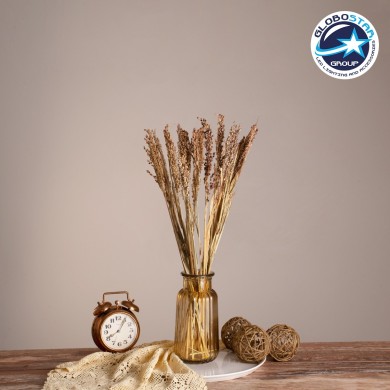 GloboStar® BROOMCORN 36540 Αποξηραμένο Φυτό Γλυκό Σόργο - Μπουκέτο Διακοσμητικών Κλαδιών Μπεζ - Καφέ Υ60cm - Σετ 20 τμχ