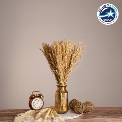 GloboStar® WILDOAT 36543 Αποξηραμένο Φυτό Αγριοβρώμη - Μπουκέτο Διακοσμητικών Κλαδιών Μπεζ Υ60cm - Σετ 100 τμχ