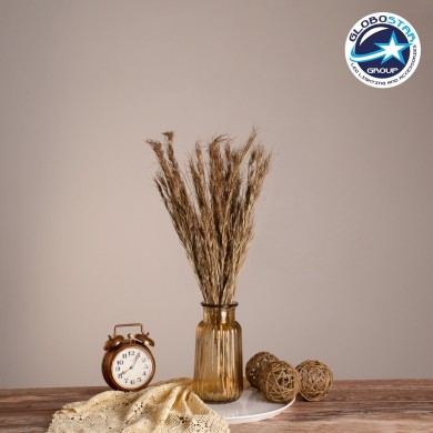 GloboStar® COLATAI 36549 Αποξηραμένο Φυτό Εράγρωστις - Μπουκέτο Διακοσμητικών Κλαδιών Μπεζ - Καφέ Υ60cm - Σετ 50 τμχ