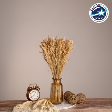 GloboStar® WHEAT 36550 Αποξηραμένο Φυτό Σίτος - Μπουκέτο Διακοσμητικών Κλαδιών Μπεζ Υ60cm - Σετ 100 τμχ