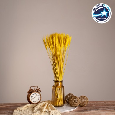 GloboStar® BARLEY 36552 Αποξηραμένο Φυτό Κριθάρι - Μπουκέτο Διακοσμητικών Κλαδιών Μπεζ - Κίτρινο Υ60cm - Σετ 105 τμχ