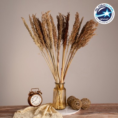 GloboStar® BROOMCORN 36554 Αποξηραμένο Φυτό Γλυκό Σόργο - Μπουκέτο Διακοσμητικών Κλαδιών Καφέ Υ80cm - Σετ 20 τμχ
