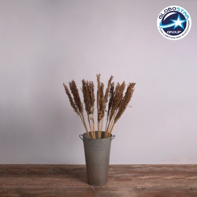 GloboStar® BROOMCORN 36555 Αποξηραμένο Φυτό Γλυκό Σόργο - Μπουκέτο Διακοσμητικών Κλαδιών Καφέ Υ100cm - Σετ 20 τμχ
