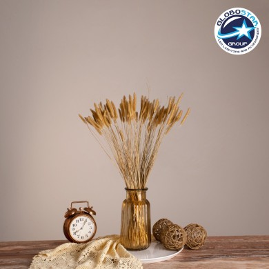 GloboStar® SETARIA 36557 Αποξηραμένο Φυτό Σεταρία - Μπουκέτο Διακοσμητικών Κλαδιών Μπεζ Υ60cm - Σετ 100 τμχ