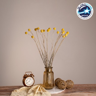 GloboStar® GRASPEDIA 36532 Αποξηραμένο Φυτό Κρασπέδια Φ2cm - Μπουκέτο Διακοσμητικών Κλαδιών Μπεζ - Κίτρινο Υ70cm - Σετ 20 τμχ