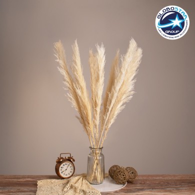 GLOBOSTAR® PAMPASGRASS 36507 Αποξηραμένο Διακοσμητικό Μπουκέτο Γρασίδι της Πάμπας - Μπεζ - Μ20 x Π20 x Υ80cm - Πακέτο 10 Τεμαχίων