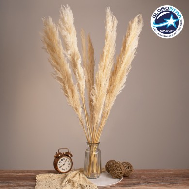 GLOBOSTAR® PAMPASGRASS 36508 Αποξηραμένο Διακοσμητικό Μπουκέτο Γρασίδι της Πάμπας - Μπεζ - Μ20 x Π20 x Υ100cm - Πακέτο 10 Τεμαχίων