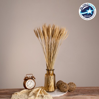 GLOBOSTAR® BARLEY 36551 Αποξηραμένο Διακοσμητικό Μπουκέτο Κριθάρι - Μπεζ - Μ20 x Π20 x Υ60cm - Πακέτο 100 Τεμαχίων
