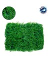 GLOBOSTAR® ALGELICA 78435 Τεχνητό Πάνελ Φυλλωσιάς - Κάθετος Κήπος Φύλλα Αγγελικής - Πράσινο - Μ60 x Π8 x Υ50cm