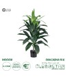 GloboStar® Artificial Garden DRACAENA SILK 20042 - Τεχνητό Διακοσμητικό Φυτό Δράκαινα Υ90cm