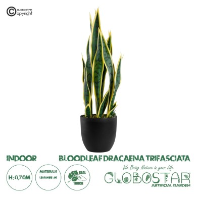 GloboStar® Artificial Garden BLOODLEAF DRACAENA TRIFASCIATA 20060 Τεχνητό Διακοσμητικό Φυτό Αιματόφυλλη Σανσεβιέρια Υ70cm