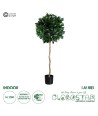 GloboStar® Artificial Garden LAUREL 20084 Τεχνητό Διακοσμητικό Φυτό Δάφνη Υ120cm