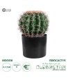 GloboStar® Artificial Garden FEROCACTUS 20092 Τεχνητό Διακοσμητικό Φυτό Φερόκακτος Υ26cm