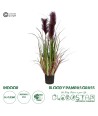 GloboStar® Artificial Garden BLOODY PAMPAS GRASS 20109 Τεχνητό Διακοσμητικό Φυτό Αιματόφυλλο Γρασίδι της Πάμπας Υ85cm