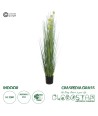 GloboStar® Artificial Garden CRASPEDIA GRASS 20112 Τεχνητό Διακοσμητικό Φυτό Κρασπέδια Υ150cm
