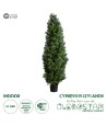 GloboStar® Artificial Garden CYPRESSUS LEYLANDII 20155 Τεχνητό Διακοσμητικό Φυτό Κυπαρίσσι Λέιλαντ Υ150cm