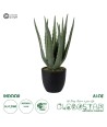 GloboStar® Artificial Garden ALOE 20064 Τεχνητό Διακοσμητικό Φυτό Αλόη Υ38cm