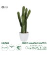 GloboStar® Artificial Garden CEREUS JAMACARU CACTUS 20099 Τεχνητό Διακοσμητικό Φυτό Κάκτος Κηρίος Υ66cm
