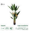 GloboStar® Artificial Garden STRELITZIA REGINAE 20032 Τεχνητό Διακοσμητικό Φυτό Στρελίτσια - Πουλί του Παραδείσου Υ140cm