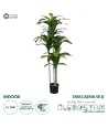 GloboStar® Artificial Garden DRACAENA SILK 20043 - Τεχνητό Διακοσμητικό Φυτό Δράκαινα Υ130cm