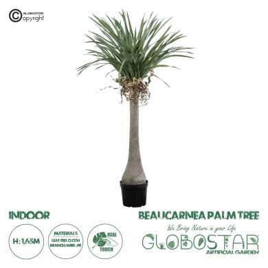 GloboStar® Artificial Garden BEAUCARNEA PALM TREE 20046 Τεχνητό Διακοσμητικό Φυτό Κυρτόφυλλος Μπουκαρνέα Υ165cm