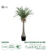 GloboStar® Artificial Garden BEAUCARNEA PALM TREE 20046 Τεχνητό Διακοσμητικό Φυτό Κυρτόφυλλος Μπουκαρνέα Υ165cm