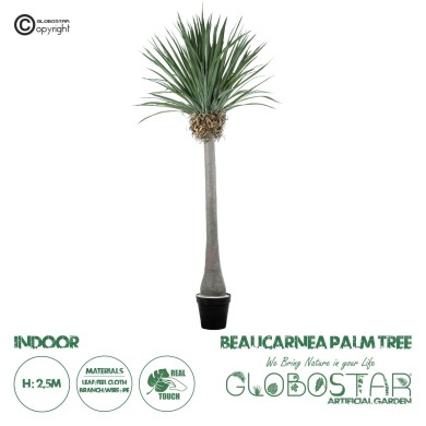 GloboStar® Artificial Garden BEAUCARNEA PALM TREE 20048 Τεχνητό Διακοσμητικό Φυτό Κυρτόφυλλος Μπουκαρνέα Υ250cm