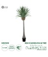 GloboStar® Artificial Garden BEAUCARNEA PALM TREE 20048 Τεχνητό Διακοσμητικό Φυτό Κυρτόφυλλος Μπουκαρνέα Υ250cm