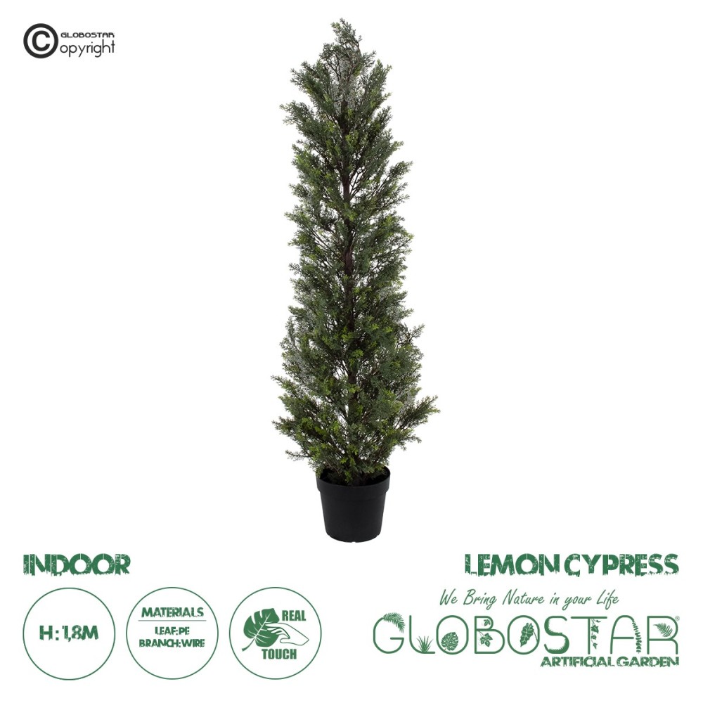 GloboStar® Artificial Garden LEMON CYPRESS 20153 Τεχνητό Διακοσμητικό Φυτό Λεμονόκυπάρισσο Υ180cm