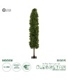 GloboStar® Artificial Garden BUXUS 20157 Τεχνητό Διακοσμητικό Φυτό Πυξός Υ180cm