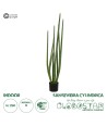 GloboStar® Artificial Garden SANSEVIERIA CYLINDRICA 20210 Τεχνητό Διακοσμητικό Φυτό Σανσεβιέρια Υ120cm