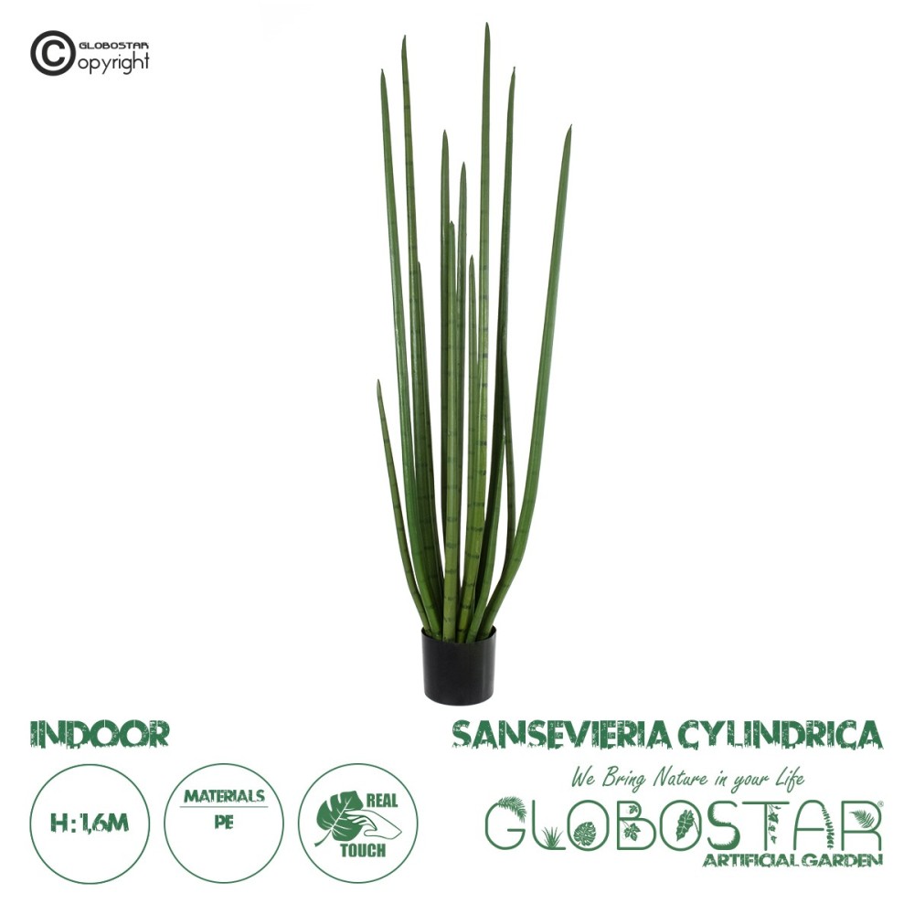 GloboStar® Artificial Garden SANSEVIERIA CYLINDRICA 20211 Τεχνητό Διακοσμητικό Φυτό Σανσεβιέρια Υ160cm