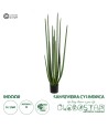 GloboStar® Artificial Garden SANSEVIERIA CYLINDRICA 20211 Τεχνητό Διακοσμητικό Φυτό Σανσεβιέρια Υ160cm