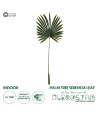 GloboStar® Artificial Garden SERENOA PALM LEAF 20173 Τεχνητό Διακοσμητικό Φύλο Φοινικόδεντρου Σερενόα Βεντάλια Π47 x Υ120cm