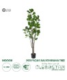 GloboStar® Artificial Garden POLYSCIAS BALFOURIANA TREE 20375 Τεχνητό Διακοσμητικό Φυτό Πολυσκιά Υ180cm