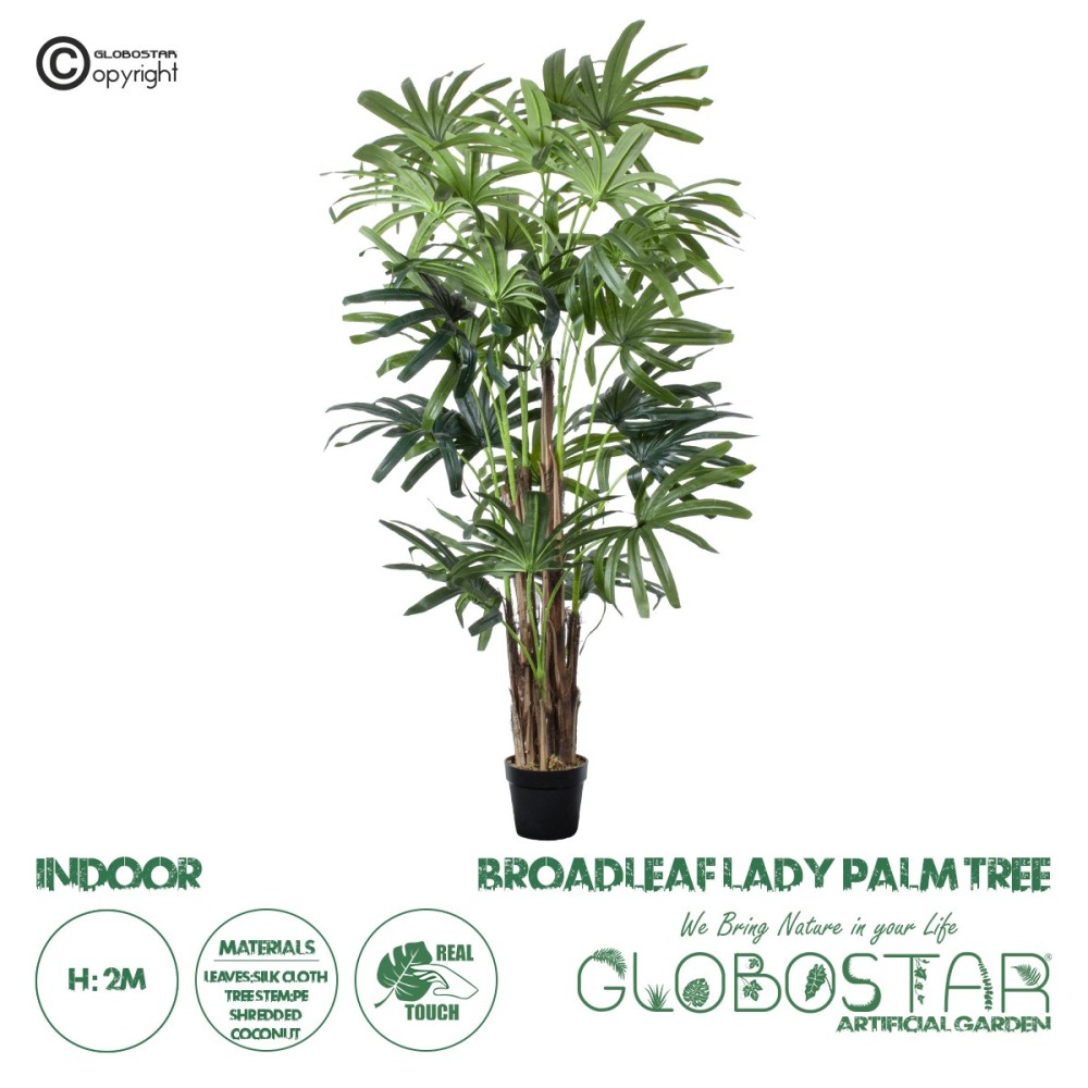 GloboStar® Artificial Garden BROADLEAF LADY PALM TREE 20385 Τεχνητό Διακοσμητικό Φυτό Πλατύφυλλος Φοίνικας Μπαμπού Υ200cm