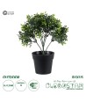 GloboStar® Artificial Garden BUXUS 20387 Τεχνητό Διακοσμητικό Φυτό Πυξός Υ30cm