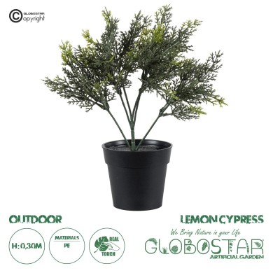 GloboStar® Artificial Garden LEMON CYPRESS 20389 Τεχνητό Διακοσμητικό Φυτό Λεμονόκυπάρισσο Υ30cm