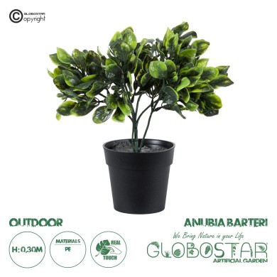 GloboStar® Artificial Garden ANUBIA BARTERI 20390 Τεχνητό Διακοσμητικό Φυτό Ανούμπια Υ30cm